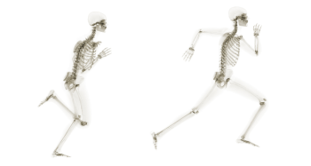 biegnacy szkielet