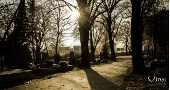 cmentarz, słońce, życie po stracie