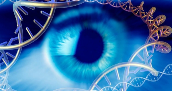 Aktywuj dobre geny! Medycyna epigenetyczna – Dawson Church